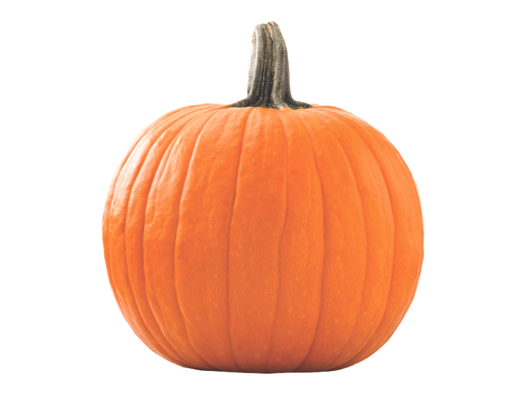 A single orange pumpkin against a black background.