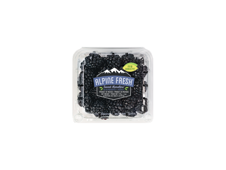 Punnet of fresh blackberries with 'Sweet Karoline' and 'NEW VARIETY!' label.