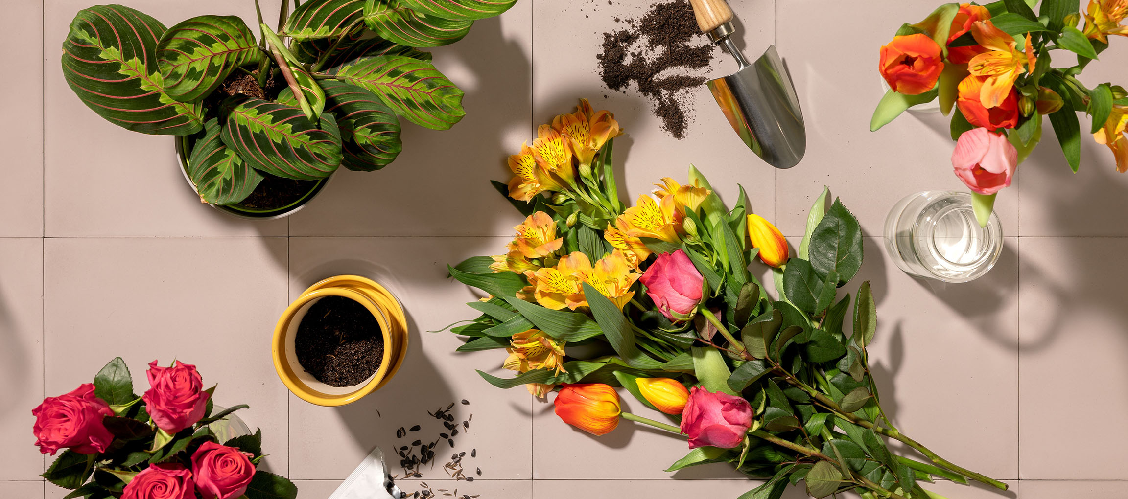 Fresh flowers, potted plant, and gardening tools on a light background.