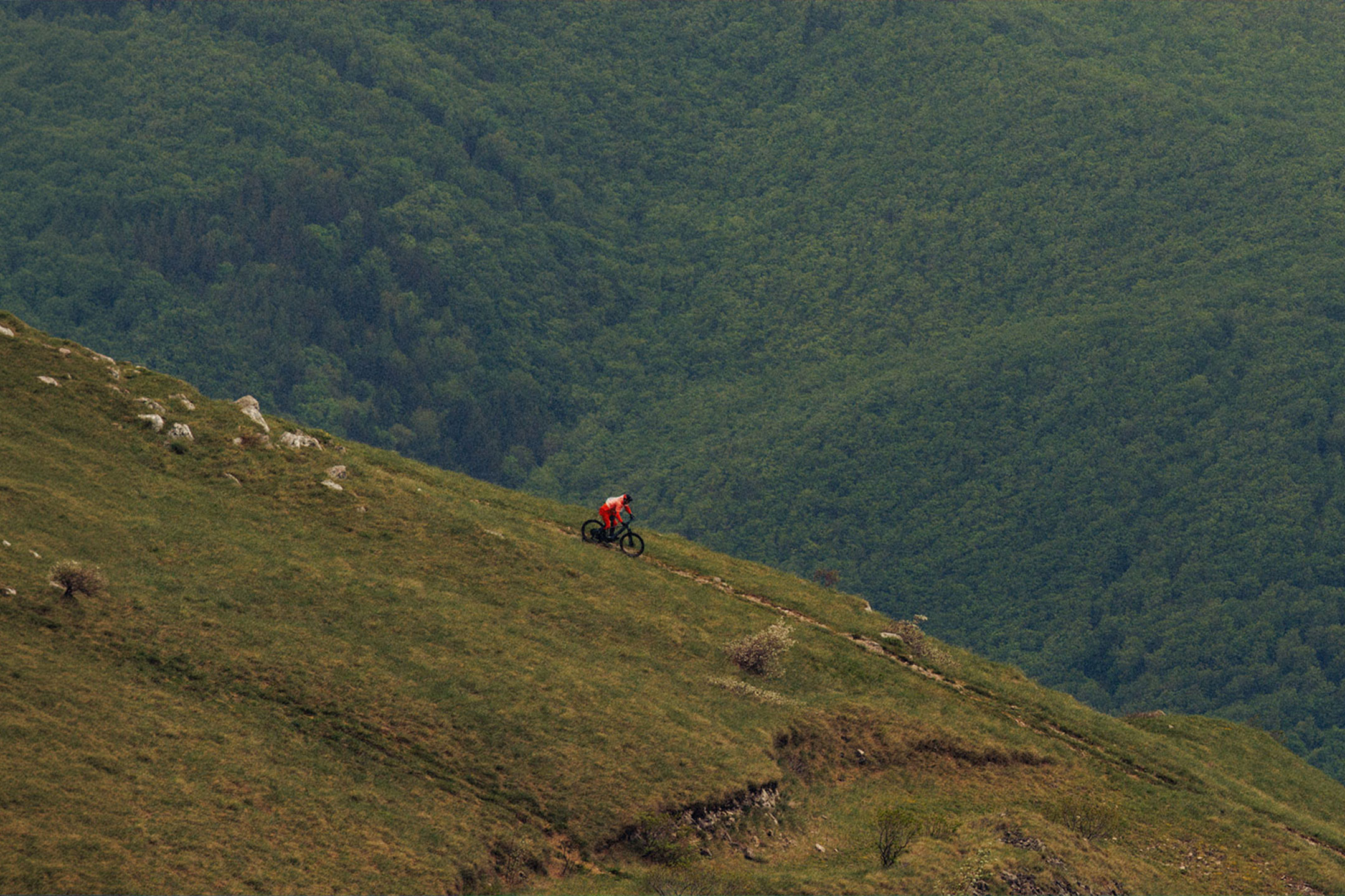 aiLabeling.aiLabelForImageAltText: Cyclist descending a mountain trail with a dense forest in the background.
